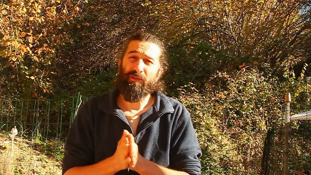 La dépendance affective - le manque affectif