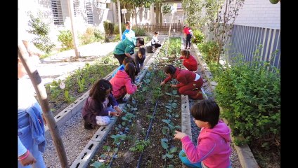Trabajo de clase. Pecha Kucha: pizarras digitales.
