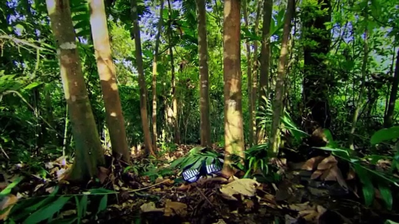 Bear Grylls Mission Survive E-04 13 March 2015