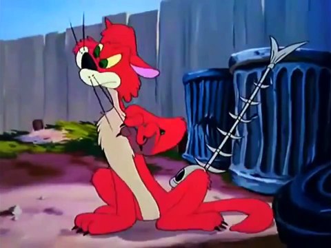 Dibujos Animados Disney HD Cartoons Cleo, Minnie Mouse Bath Day Cartoon Martoon