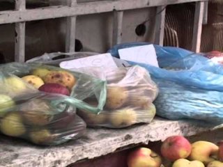 GATI PROJEKTLIGJI NE 1 SHTATOR DALIN JASHTE PERDORIMIT QESET PLASTIKE LAJM