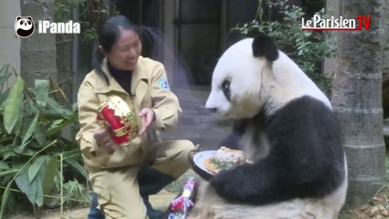 Chine : Basi, un panda géant qui fête ses 35 ans