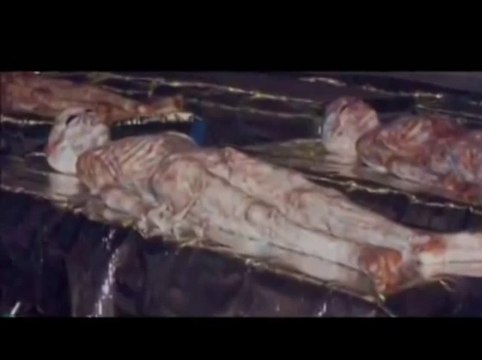 KGB CIA UFO (1945-1995)