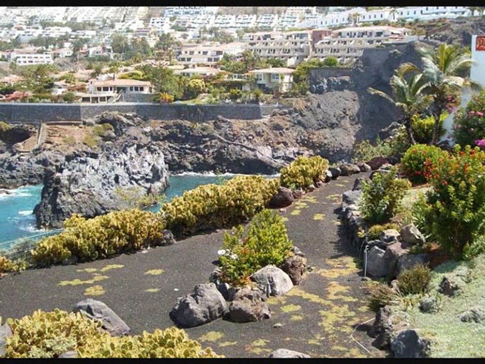 JARDIN TENERIFE 2009