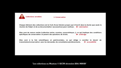 05-les collections sensibles