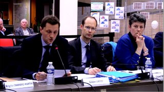 Conseil municipal de Fontenay 19 novembre 2015 Contrat de développement territorial
