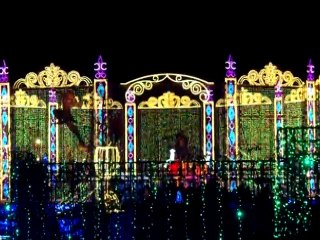 2011/1   ハウステンボス光の王国