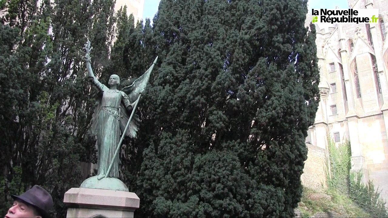 VIDEO. Poitiers. Abattage d'un if à proximité du palais de justice