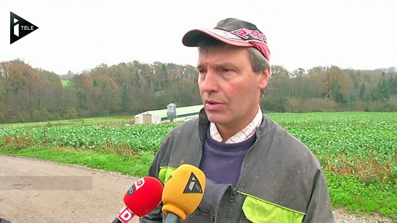 Deux nouveaux cas de grippe aviaire en Dordogne