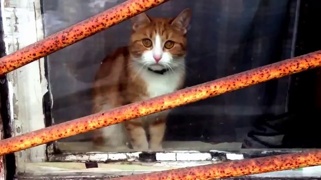 Не уходи, останься со мной