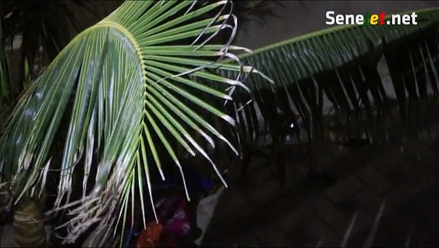 Magal Touba 2015 : La luxueuse résidence du milliardaire Cheikh Amar à vue d’oiseau