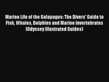 [PDF Download] Marine Life of the Galapagos: The Divers' Guide to Fish Whales Dolphins and