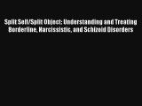 Split Self/Split Object: Understanding and Treating Borderline Narcissistic and Schizoid Disorders