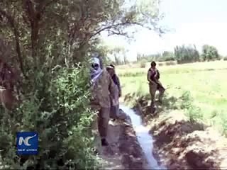 Insurgents killed in cleanup operations in Afghanistan 2015