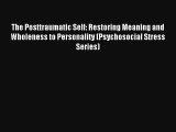 The Posttraumatic Self: Restoring Meaning and Wholeness to Personality (Psychosocial Stress