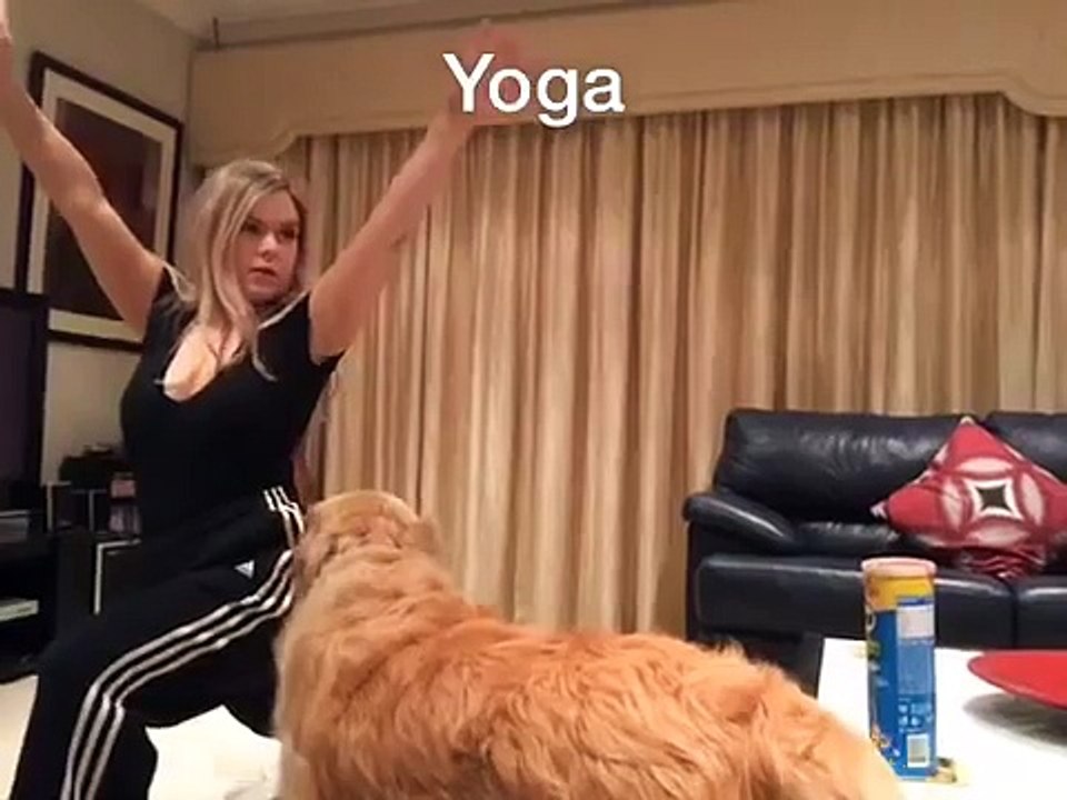 Crazy GIRL VS DOG