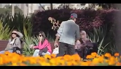 Social Experiment Muslim Hate in Australia