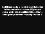 Download World Encyclopedia of Fossils & Fossil-Collecting: An illustrated reference to over