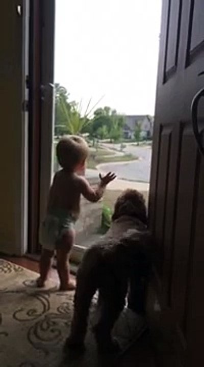 Un bébé et un chien contents de voir papa rentrer à la maison