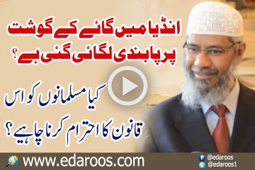 India Mein Gaaye K Gosht Pe Pabandi, Musliman Kya Karen By Dr Zakir Naik
