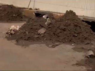 FUJA DO BURACO DO TATU