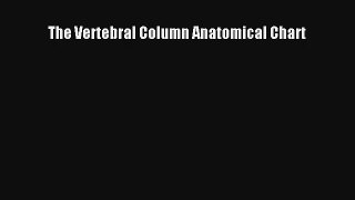 The Vertebral Column Anatomical Chart Download