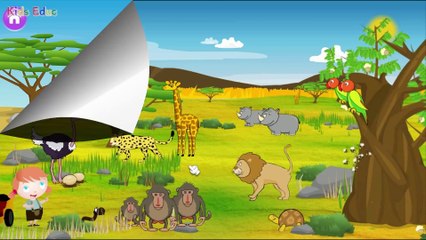 Learn About Wild Animals, Animal Sounds, Fun and Educational Videos for Kids