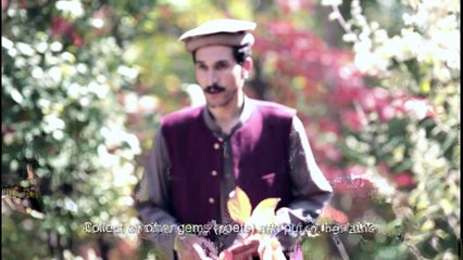 Discover the Beautiful Duet 'Dubha' in Torwali Music 🎶