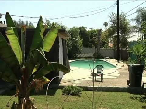 VDES RODNEY KING NJERIU SIMBOL I PROTESTAVE TE 1992 NE SHBA U GJET I VDEKUR LAJM