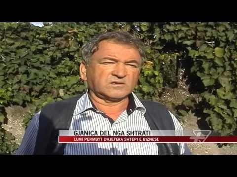 Fier, Gjanica del nga shtrati - News, Lajme - Vizion Plus