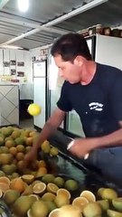 Gerçek Fruit Ninja oyunu!