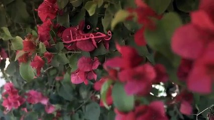 Resemblance-Abdulrahman Moh  Khalid Barzanji شبيهك  عبدالرحمن محمد وخالد