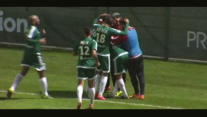 Ngamukol Goal - Red Star 2-0 Metz - 01-12-2015