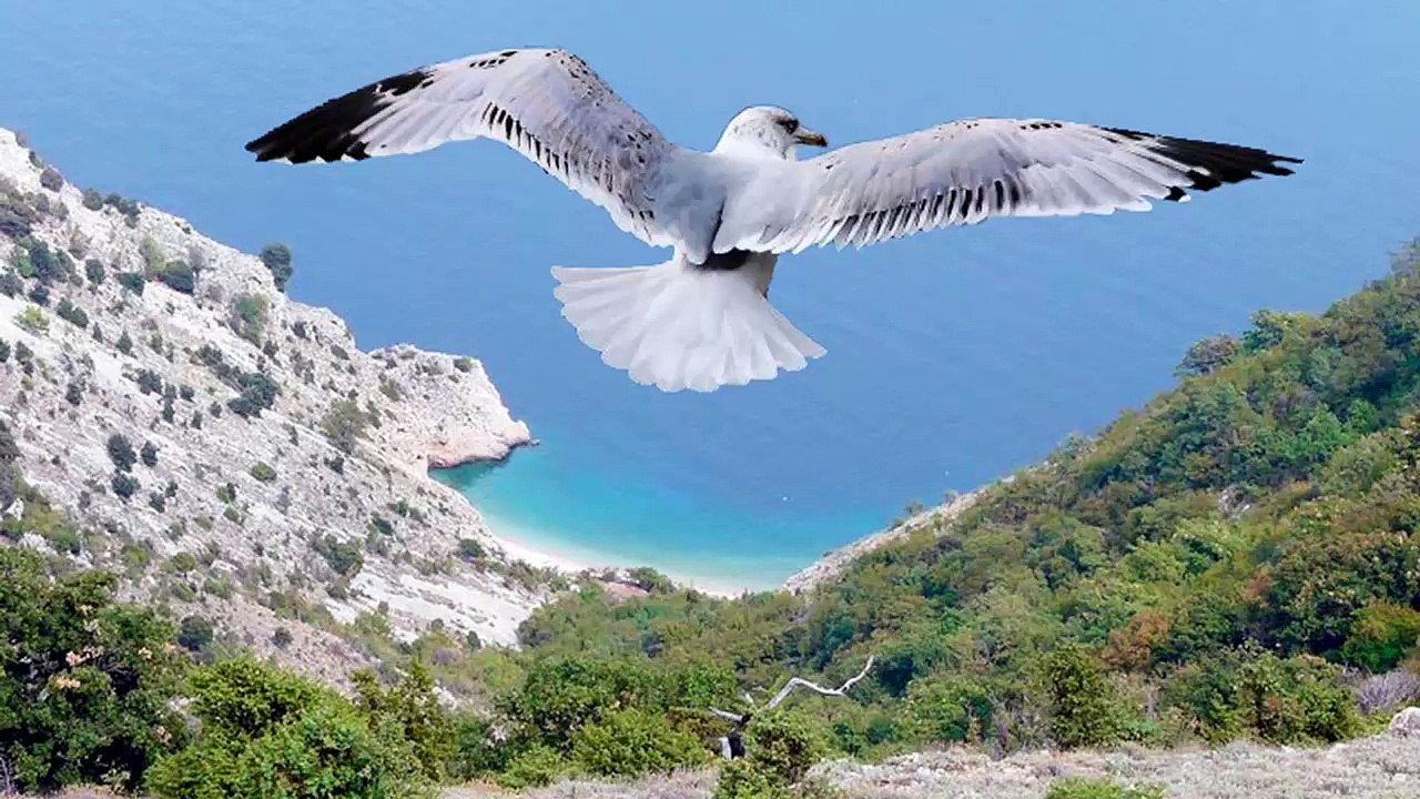 Fly Away - Royalty Free Music - SL3D