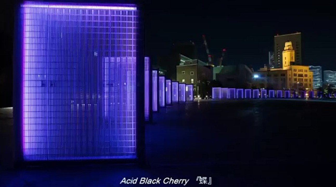 Acid Black Cherry