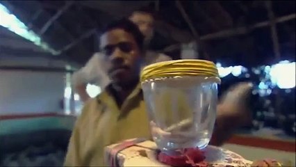 Quand le venin de serpent tue...très vite ! - vidéo Dailymotion