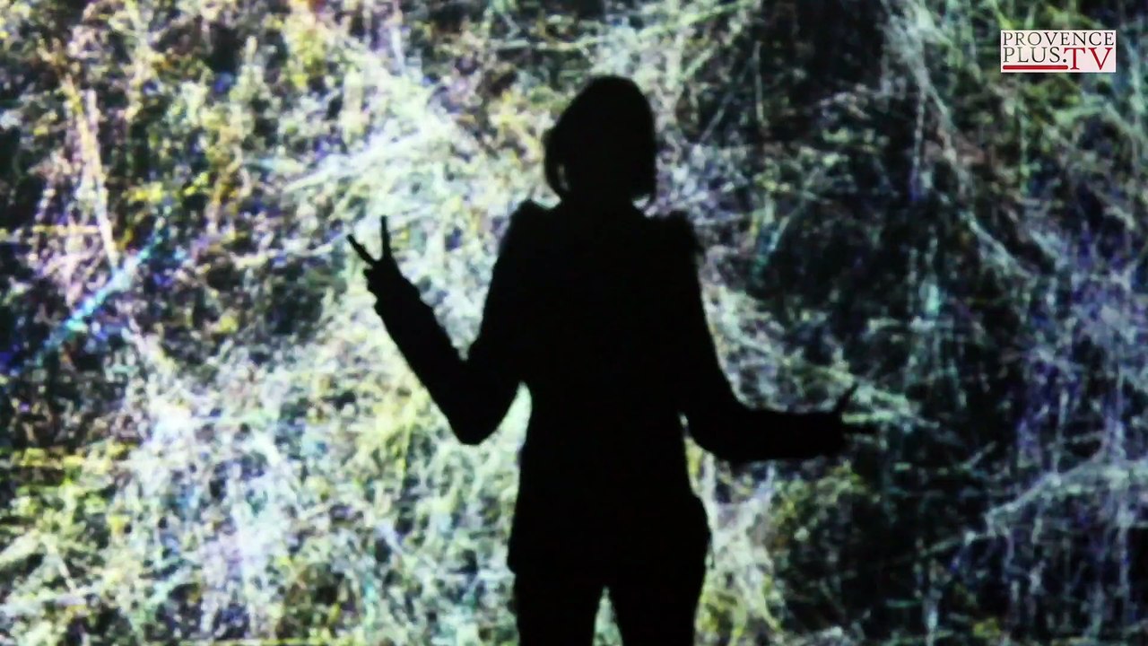 Made in Friche Machine, festival d'arts numériques