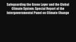 Read Safeguarding the Ozone Layer and the Global Climate System: Special Report of the Intergovernmental#