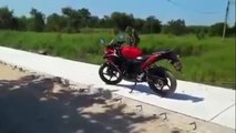 Un singe totalement furieux s'attaque à un motard !