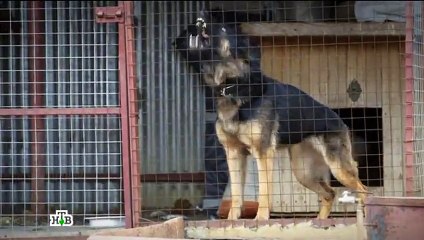 _Пятницкий. Глава четвертая_. 10-я серия