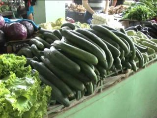 BUJQESIA SHQIPTARE RRITJA E EKSPORTIT VENDAS KA SJELLE RRITJE ÇMIMESH NE TREG LAJM