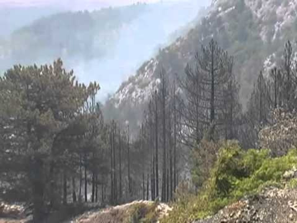 SHQIPERIA NE FLAKE 15 VATRA ZJARRESH NE TE GJITHE VENDIN NDERHYN USHTRIA LAJM