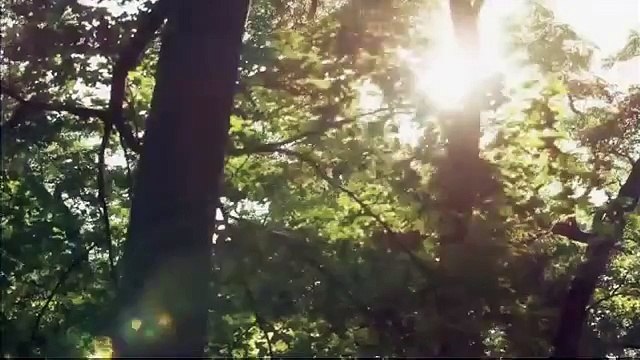 Campagna “qualità dei prodotti agroalimentari” (01.12.15)