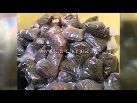 Durrës, sekuestrohen 700 kg kanabis, 7 të arrestuar - Top Channel Albania - News - Lajme