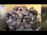 Durrës, sekuestrohen 700 kg kanabis, 7 të arrestuar - Top Channel Albania - News - Lajme