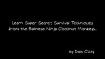 Coconut Monkeys Show Secret Survival Techniques