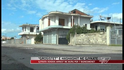 “Grosistët” e hashashit në Gjykatë - News, Lajme - Vizion Plus