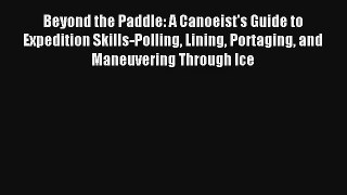 Beyond the Paddle: A Canoeist's Guide to Expedition Skills-Polling Lining Portaging and Maneuvering