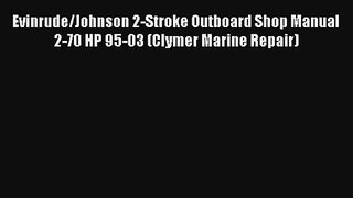 Evinrude/Johnson 2-Stroke Outboard Shop Manual 2-70 HP 95-03 (Clymer Marine Repair) PDF