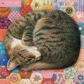 Read Ivory Cats Wall Calendar 2016 (Art Calendar) by  Ebook PDF